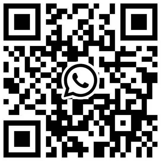 WhatsApp二维码